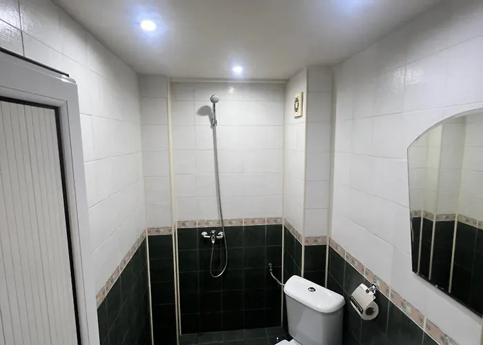 Zasheva Kushta بيت ضيافة بانسكو